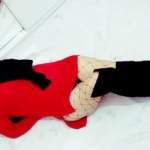 Mersin Escort Bayanların En Gözdesi ile Tanışın